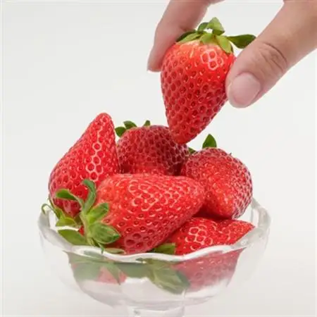 静岡県掛川市産　ミズノ農園の完熟いちご「すずの薫り」　約280g×4パック【配送不可地域：離島・北海道・沖縄県・四国・九州】【1490919】