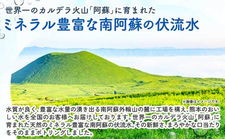 【6ヶ月定期便】熊本のおいしいお水 阿蘇山天然水 330ml×24本（1ケース）