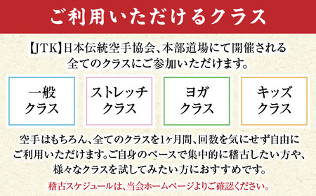 【JTK】日本伝統空手協会 １ヶ月フリーチケット（既存会員向け）