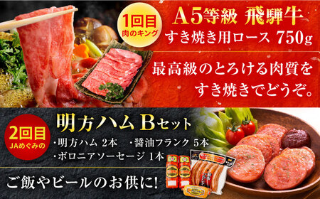 【6回定期便】御嵩町の名店横断！贅沢バラエティ便 / 飛騨牛 鰻 ハラミ 明方ハム ハンバーグ / 岐阜県 御嵩町[AVBM018]