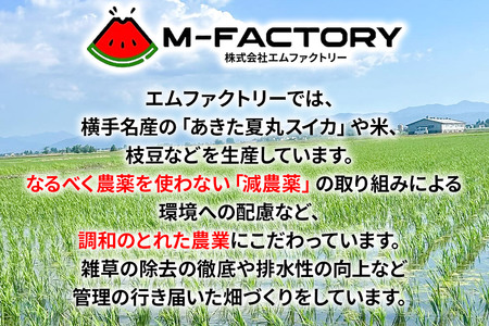 【白米】令和7年産 あきたこまち 10kg（5kg×2袋）横手市産