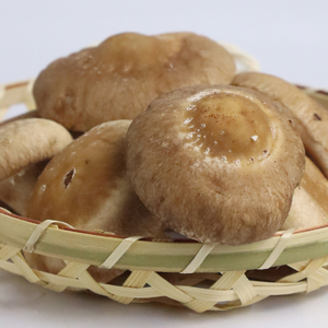 定期便 3回 ドレッシング 3個 ドバッと！！しいたけ万能調味料 椎茸 しいたけ 調味料 乾燥椎茸 パスタ ドレッシング サラダ ドレッシング ギフト プレゼント 障がい者 支援 就労支援 農福連携 福祉 静岡県 三島市