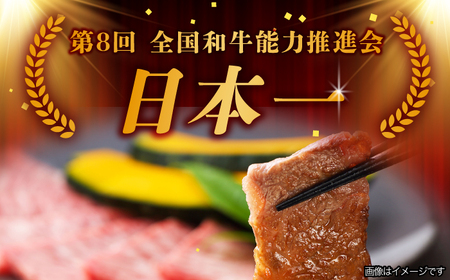 【6月発送】飛騨牛 焼肉用 ロース・肩ロース 500g A5等級 [TAZ030-6]
