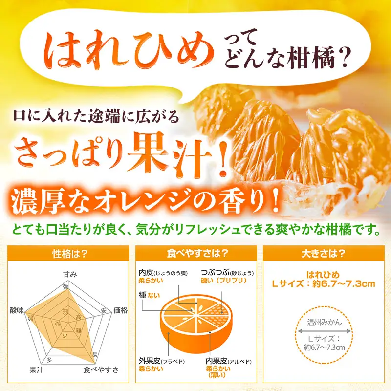【先行予約】はれひめ（1.5kg）