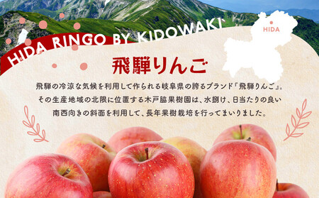 飛騨りんご100％ジュース1L×6本セット 飛騨高山 木戸脇果樹園オーチャードハウス FP008