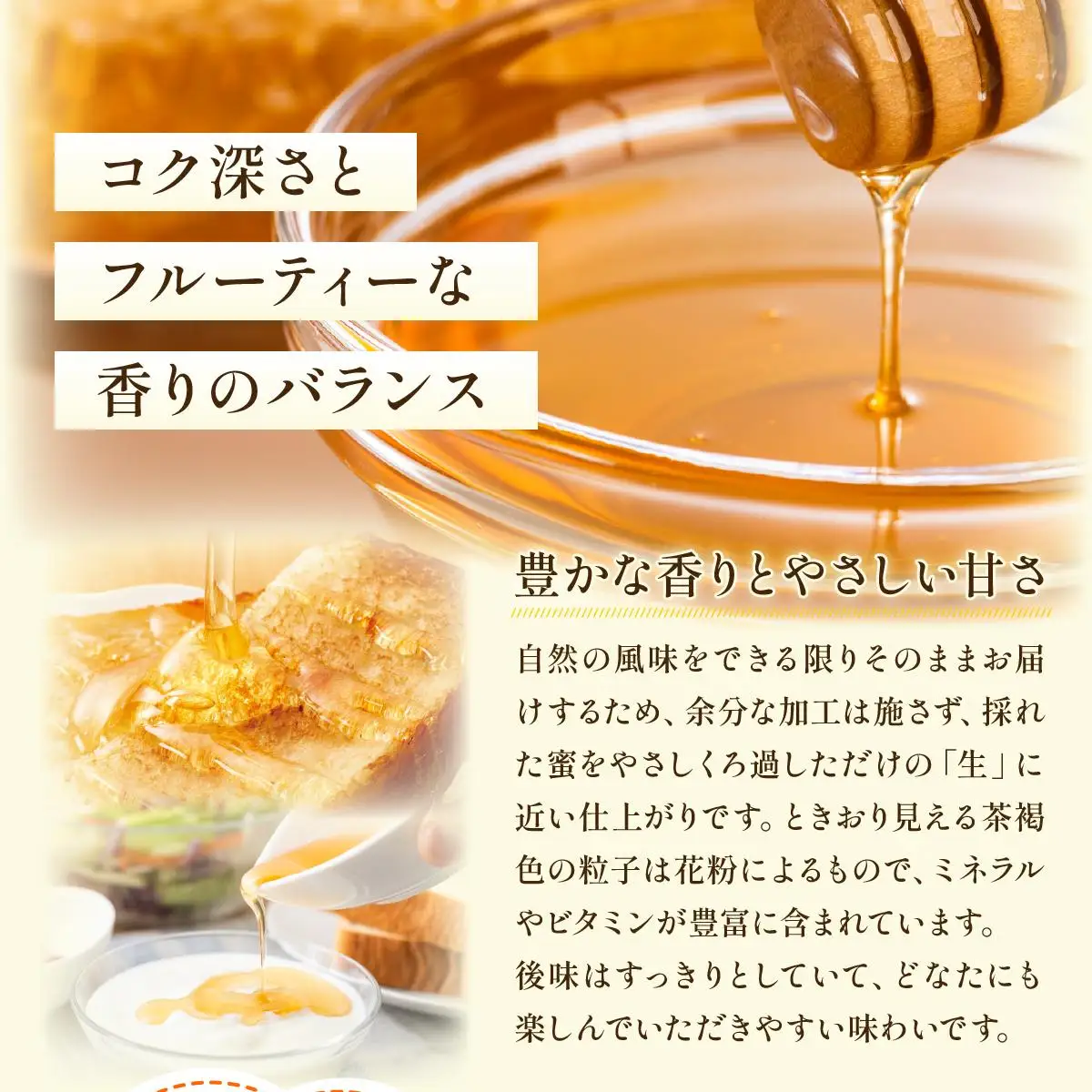 日本蜜蜂の純粋はちみつ 500g×1 蜜蝋100g付