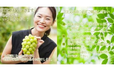 プレミアムシャインマスカット晴王 船穂Ver  赤秀ぶどう1房 約700g 【先行予約：2026年9月上旬～10月下旬発送予定】船穂産 岡山県最高産地 赤秀品以上 岡山県産 皮ごと食べる みずみずしい 糖度保証 クール発送 満天フルーツ 倉敷市