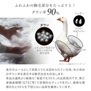 羽毛布団　ハンガリーホワイトダック90％　DP370　セミダブル（無地ナチュラル） _ 掛け布団 ハンガリー ホワイトダック ダウン 90％ 洗える コインランドリー 日本製 選べる セミダブル ふっくら保温 立体キルト 柔らか ダウンプルーフ 抗菌 防臭 ダニプルーフ 加工 江崎ふとん 久留米市 送料無料  〔Qc184-nt〕