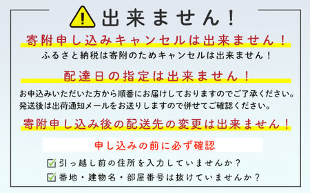 北海道産 生冷あわび 600g前後 (約5~6個) ＜ワイエスフーズ＞ 北海道 あわび 新鮮 魚介類 貝 冷凍 北海道噴火湾産 噴火湾産 森町 お刺身 バター焼き 酒蒸し 炊き込みご飯 mr1-1268