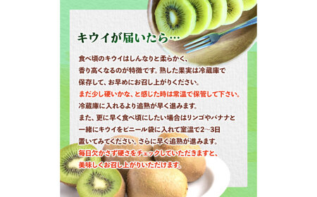 福岡限定品種キウイ「甘うぃ」約1.3kg-約1.5kg／2026年11月頃より発送予定 桂川町/一般社団法人地域商社ふるさぽ[ADCF013]