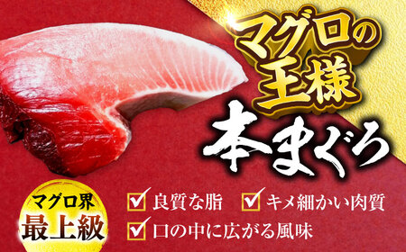 天然 本まぐろ 中トロ（約200~250g（1柵入り））【横須賀商工会議所 おもてなしギフト事務局（本まぐろ直売所 横須賀本店）】[AKAK118]