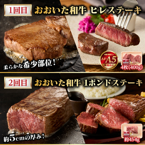 【隔月配送】【おおいた和牛堪能】隔月4回お届け定期便 T10098