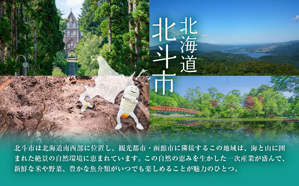 【定期便】【令和7年産】[無洗米]特別栽培米ゆめぴりか4.5kg ×3回 HOKH013