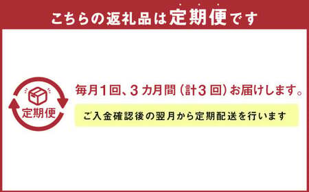 【定期便3ヶ月】くまさんの輝き10kg（5kg×2袋） × 3回 合計30kg  【令和7年度産】 お米 精米 おこめ こめ 米 白米 ごはん ご飯