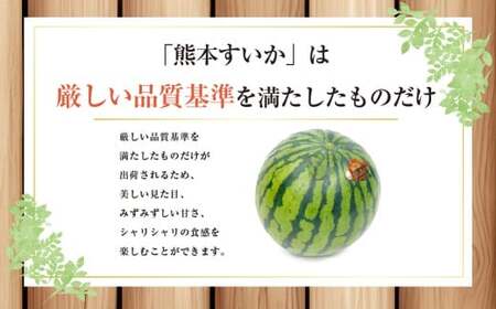 大玉すいか 1玉入り L以上 約5kg 【2026年5月上旬～2026年6月下旬発送予定】スイカ 甘いフルーツ 名産果物  果物 熊本県 
