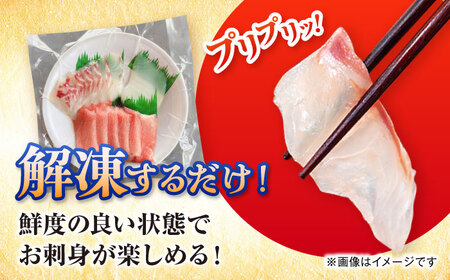 【全3回定期便】漁師の極み刺身パック（粋）1皿 五島市/Sun Sea Go Company 魚 おまかせ お任せ 鮮魚 五島列島[PGL018]