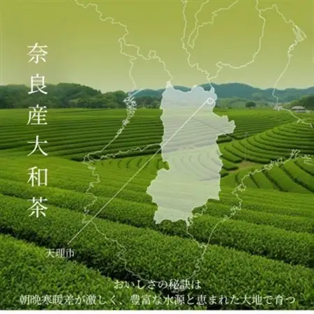 GranoTea ほっと一息 煎茶(天理市産・ティーバッグ18包)【1683384】