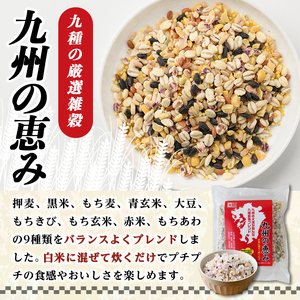 九州の恵み(35P：1袋 7Ｐ入り) 雑穀 押麦 黒米 もち麦 青玄米 大豆 玄米 赤米 玄米 ブレンド 栄養 バランス 米 白米 混ぜるだけ 健康 弁当 おにぎり 個包装 小分け 常温 常温保存【ksg1852】【宝山九州】