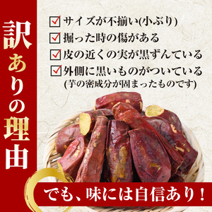 No.1343 ＜訳あり・規格外＞小ぶり・不揃い 紅はるか冷凍焼きいも(計2.4kg・800g×3袋) 国産 九州産 鹿児島県産 熟成 さつまいも サツマイモ さつま芋 紅はるか 訳アリ 訳あり 規格外 紅春香 芋 焼き芋 やきいも 野菜 スイーツ 冷凍【末永商店】