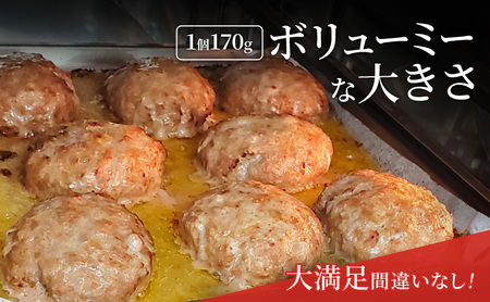 肉屋のハンバーグ（170g×6個入り）特製洋風ソース付 ハンバーグ 牛肉 豚肉 肉 お肉 静岡 浜松市