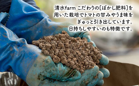 【2026年7月発送】富良野産 採れたて直送! ミニトマト 「キャロル10」「殊玉のうまみ」 各1kg【約2kg】 (清水farm) トマト ミニトマト とまと 野菜 新鮮 甘い 季節限定 北海道 富良野 ふらの