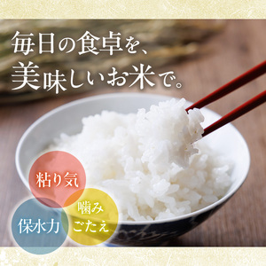 ヒノヒカリ 白米 (5kg) お米 ごはん ご飯 ひのひかり 数量限定 【118300300】【真田　定二】