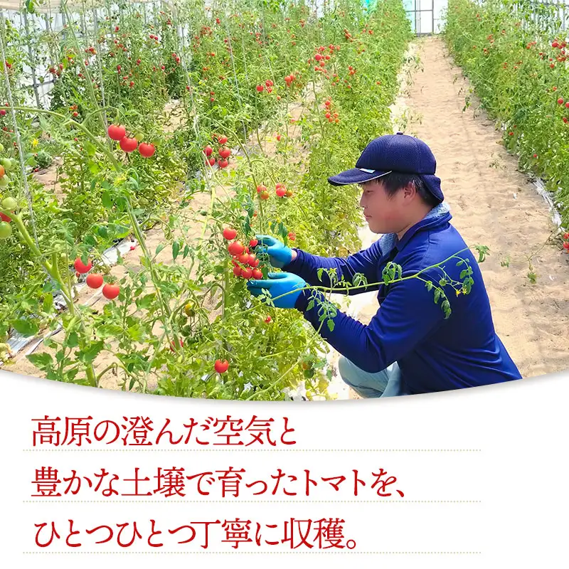 【無塩・無糖】窪畑トマト100％ジュース　160ml × 4本　K-738　株式会社山本組