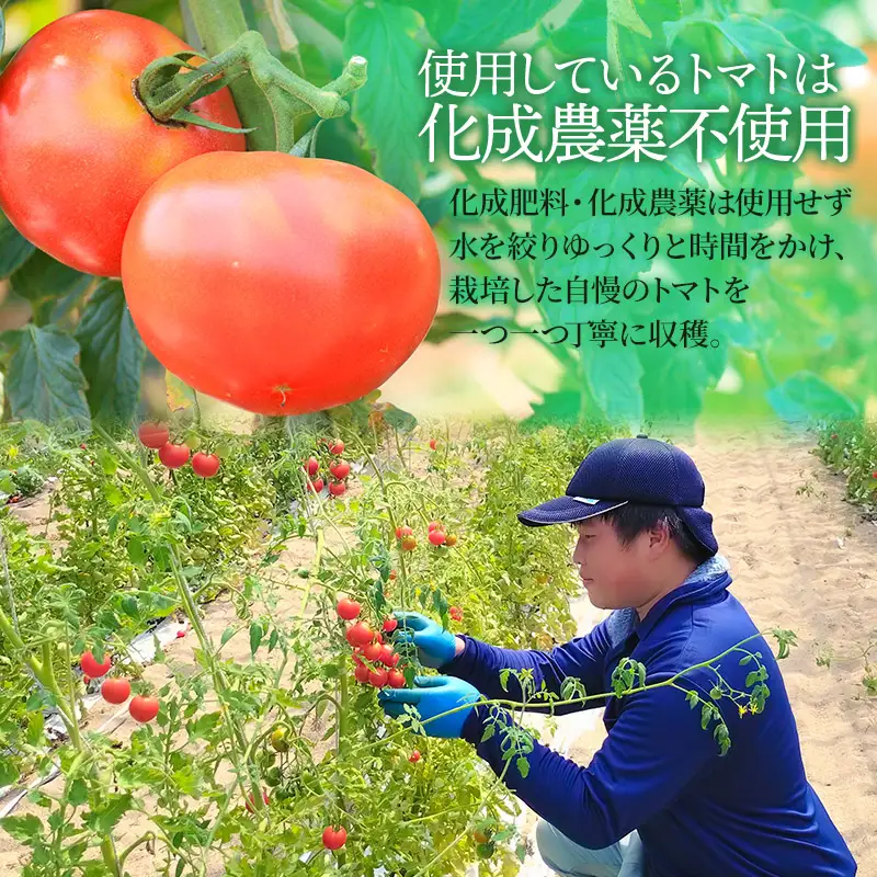 【ヴィーガン認証】窪畑トマトのカレーソース　辛口（180g×5 個）　K-747　株式会社山本組