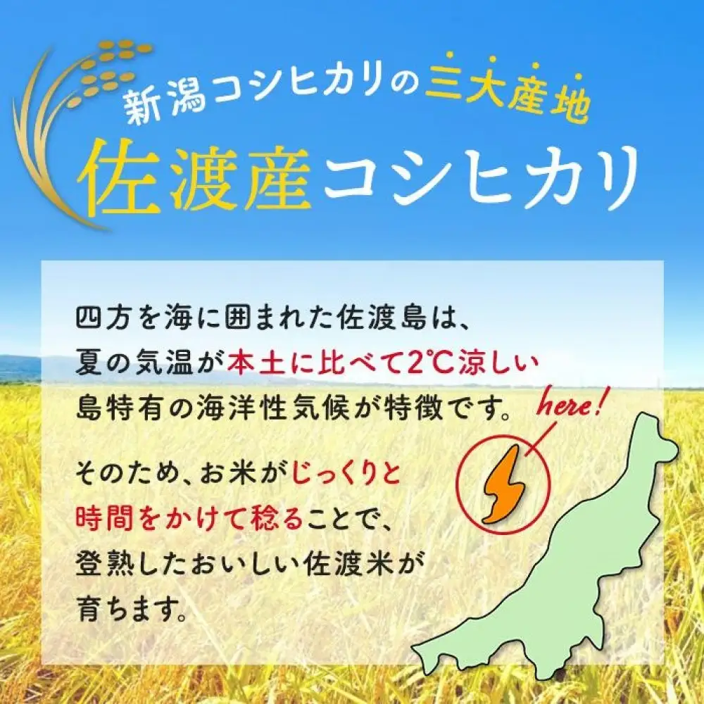 佐渡産コシヒカリ5kg