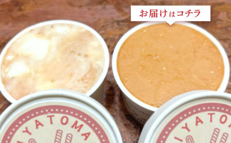 宮トマトジェラート 80ml×6個 / ジェラート トマト とまと アイス　アイスクリーム スイーツ / 諫早市 / 宮下農園[AHCG032]