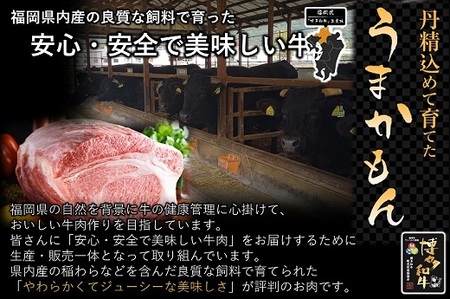 AG115.博多和牛ローススライス400g【博多和牛】