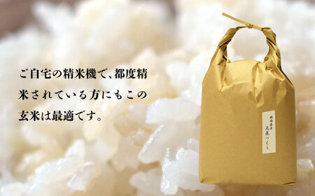 米 【特A】「元気つくし」5kg×1袋 [5kg] [玄米] [ABDF202] 令和7年産 米 ご飯 ごはん こめ コメ おにぎり 
