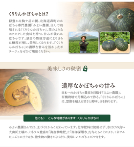 かぼちゃポタージュ 10食セット《北海道 くりりんかぼちゃ 使用》 [2516]