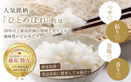 【特別寄付額 】【食味ランキング「特A」13年連続】平泉町産ひとめぼれ5kg 直前精米【mtk701-cp】