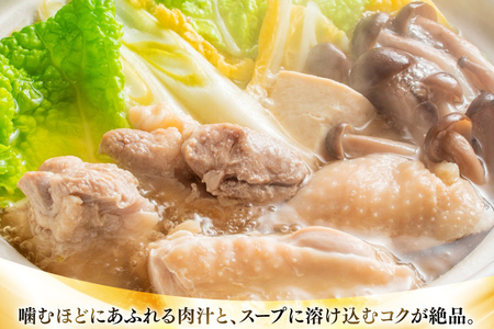 水炊き【5回定期便】訳あり 博多水炊き 10人前 2人前×5 水炊き [um40azp010051]