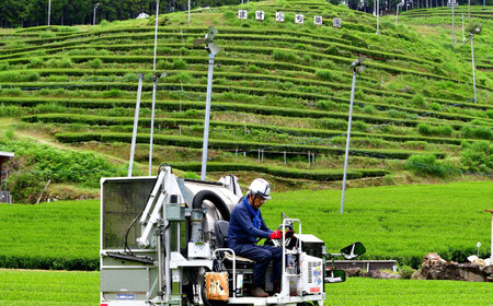 【4回定期便】白川茶「二ッ森」 3パックセット お茶 緑茶 茶葉 白川町 / ますぶち園[AWAC001]