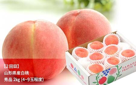 先行予約 2026年度発送【山形県フルーツ定期便3回】山形県産紅秀峰・白桃・ラフランス F4A-0988