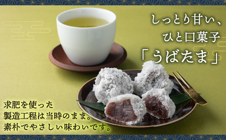 松前あん入りべこもち＆うばたまセット 北洋堂 冷凍 モチモチ食感 求肥製法 あんこ こしあん 餡 こし餡 黒糖 お菓子 老舗 銘菓 和菓子 スイーツ ベコ餅 ベコモチ おもち もち お茶請け おもてなし おやつ お取り寄せ グルメ 北海道 松前町 MATH004