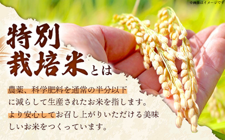 比田米 特別栽培コシヒカリ(精米)3kg【令和7年産 米 お米 こしひかり ごはん ご飯 有機肥料 国産】