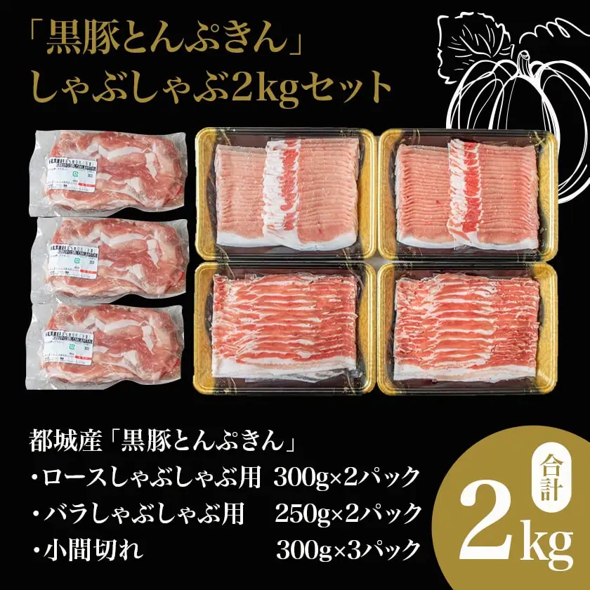 【6回お届け!】「黒豚とんぷきん」定期便≪総重量16kg≫_T90-6-5901_(都城市) 都城産 黒豚とんぷきん しゃぶしゃぶ2kgセット/小間切れ3kg/大盛3kgセット 6ヵ月定期便