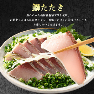 カツオ ブリのたたき だし ポン酢付き 海の幸満喫セット 指宿食品 IB026-001 かつお 鰹 