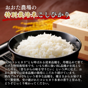 米 【令和7年産】 新潟県上越産 特別栽培米 コシヒカリ 【無洗米】 5kg 5キロ お米 こめ 白米 こしひかり