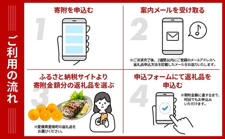 あとから選べる オンラインカタログ 2万円 有効期限なし 後から選べる 定期便 あとからチョイス あとからギフト あとからセレクト ふるさとギフト おすすめ あとで選べる 訳あり みかん かつおのたたき 刺身 紅まどんな フルーツ 果物 カツオ スイーツ オレンジ 甘平 河内晩柑 まどんな 夢オレンジ 文旦 ポンカン 鰹 鯛 真鯛 魚 柑橘 20000円 愛媛県 愛南町