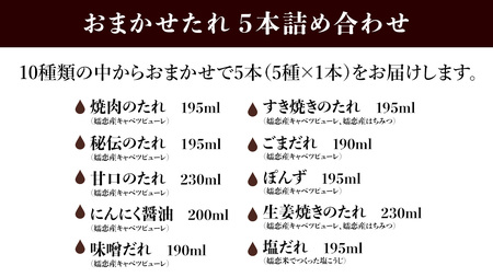 【訳あり】 肉料理のタレ おまかせ 5本 詰め合わせ [AH059tu]