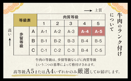 黒毛和牛 A4～A5等級 霜降り すき焼き しゃぶしゃぶ 極上 スライス 300g 牛肉 冷凍 くまもと黒毛和牛 《30日以内に出荷予定(土日祝除く)》 冷凍庫 個別 以内 ブランド牛 霜降り