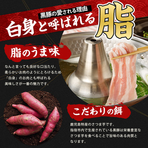 10営業日以内に発送 指宿産かごしま黒豚 しゃぶしゃぶ肉バラ500g･モモ500g 岡村商店 IB024-019 黒豚 黒豚