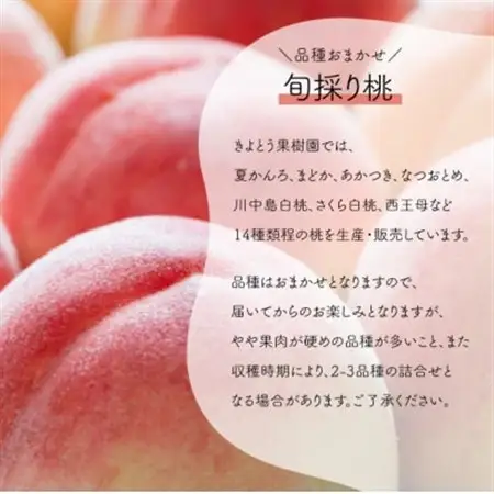 【特選品】旬採り桃 5-7玉 (岡山県産) ギフトにおすすめ!【配送不可地域：離島】【1696626】