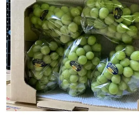 新鮮・朝採り後即出荷!岡山県　吉備高原産シャインマスカット　5kg(7～10房)ご贈答品【1700900】