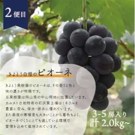 【発送月固定定期便】桃、ピオーネ、シャインマスカットをお届け!岡山フルーツ満足便 (岡山県産)全3回【配送不可地域：離島】【4078281】