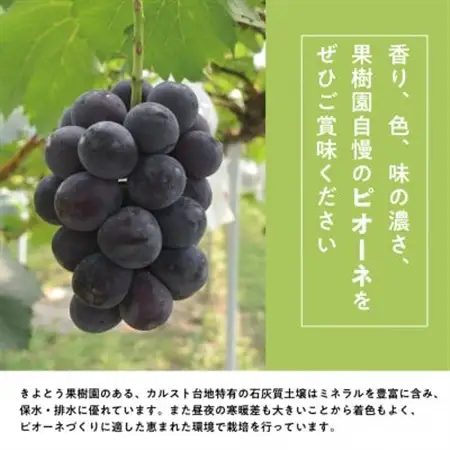 【発送月固定定期便】桃、ピオーネ、シャインマスカットが各月届く、夏の満足便! (岡山県産)全3回【配送不可地域：離島】【4078998】